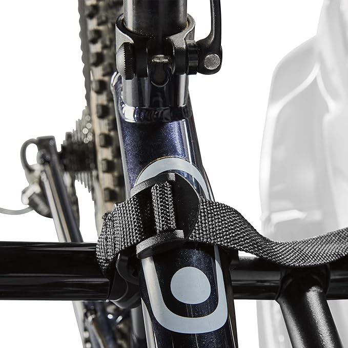 Allen Sports Deluxe 2-Bike Hitch Mount Rack , Silver/Black (522RR)