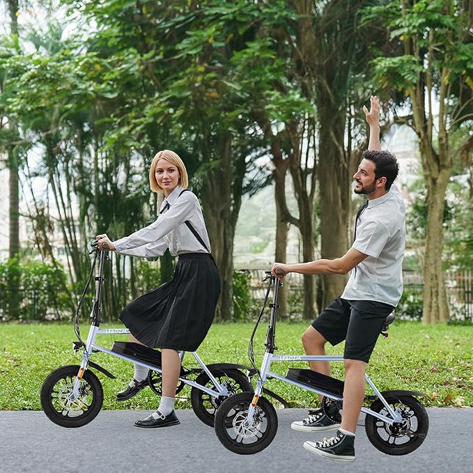 Winado Electric Bike for Adults, 14" Folding Electric Bicycle 450W Motor with Dual Disc Brakes, Max Range 25Miles(Pedal-Assist) & Speed 15.5MPH, Foldable Commuter City Ebike for Adults/Teens