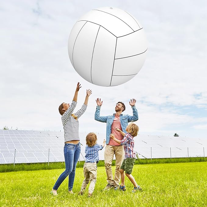 Lewtemi Giant Inflatable Sports Balls Large Inflatable Beach Ball Baseballs Soccer Rainbow Basketball Football for Sport Birthday Party Favor(2 Pcs,Baseball, Volleyball,40 Inch)