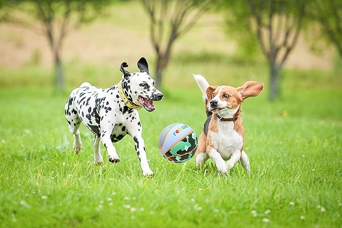 Premium Rubber/Leather Basketball - Kids & Youth, Size 3/4/5/6/7