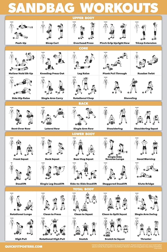 Palace Learning 14 Pack - Exercise Poster Set: Dumbbell, Suspension, Kettlebell, Resistance Bands, Stretching, Muscular, Medicine Ball, Battle Rope, Bodyweight, Barbell, Yoga, Exercise Ball
