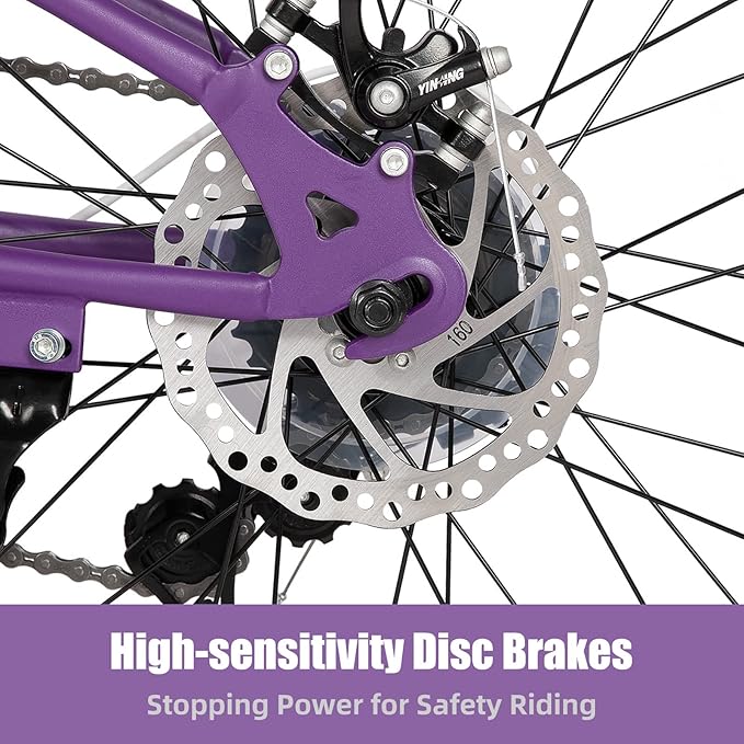 JOYSTAR 20 Inch Mountain Bike for Kids Ages 7-12 Year Old, 3-Inch Wide Knobby Tires, 7 Speed Shimano Drivetrain, Disc Brakes, Fat Tire Kids Bicycles for Boys Girls