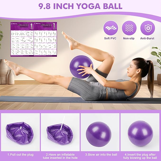 Pilates Ring Set Exercise Equipment with Exercise Bands Resistance Bands Set, Pilates Ball, Sliding Disks – Workout Equipment Home Gym Includes Complete Fitness Poster