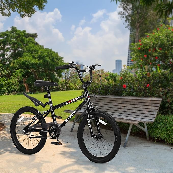 20 Inch Freestyle BMX Bike Bicycles, 20 Inch Boys Bikes Kid Bicycle for 7-12 Years Old Kid and Beginner Level Rider, Single Speed, Outdoor Cycling Bike Kids Mountain Bike, Multiple Colors