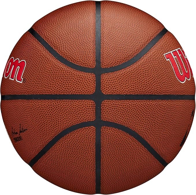 WILSON NBA Team Alliance Basketballs - Size 7-29.5"