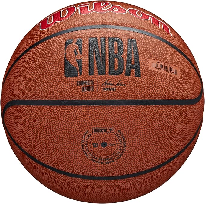 WILSON NBA Team Alliance Basketballs - Size 7-29.5"