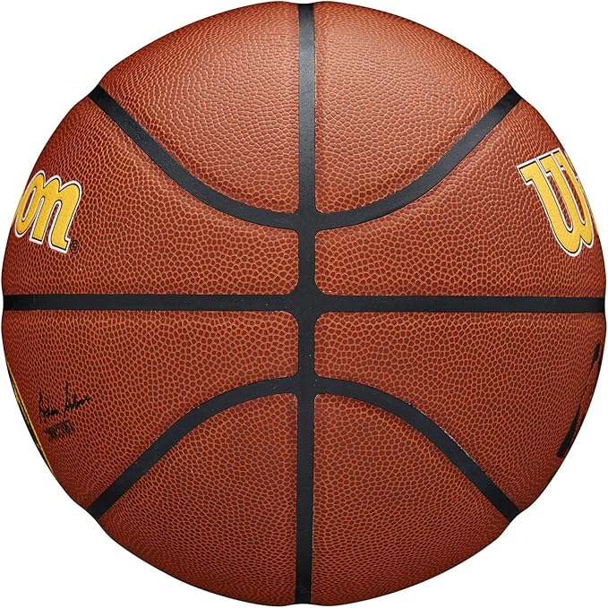 WILSON NBA Team Alliance Basketballs - Size 7-29.5"