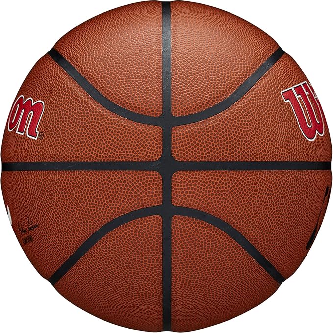 WILSON NBA Team Alliance Basketballs - Size 7-29.5"