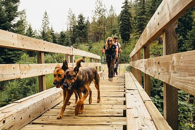 Cascade Mountain Tech Trekking Poles - Carbon Fiber Walking or Hiking Sticks with Quick Adjustable Locks