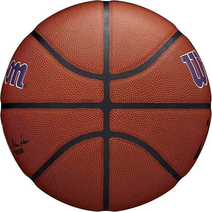 WILSON NBA Team Alliance Basketballs - Size 7-29.5"