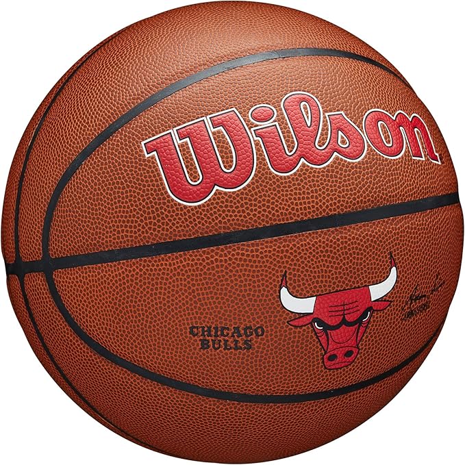 WILSON NBA Team Alliance Basketballs - Size 7-29.5"