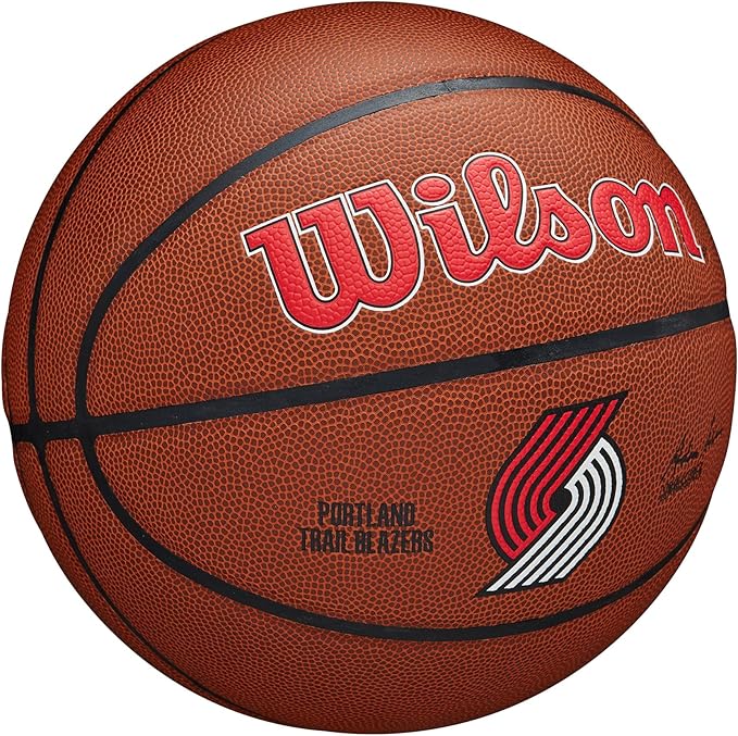 WILSON NBA Team Alliance Basketballs - Size 7-29.5"