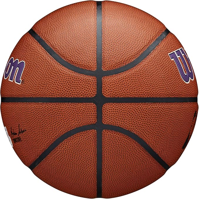WILSON NBA Team Alliance Basketballs - Size 7-29.5"