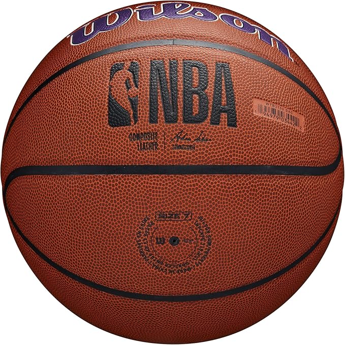 WILSON NBA Team Alliance Basketballs - Size 7-29.5"