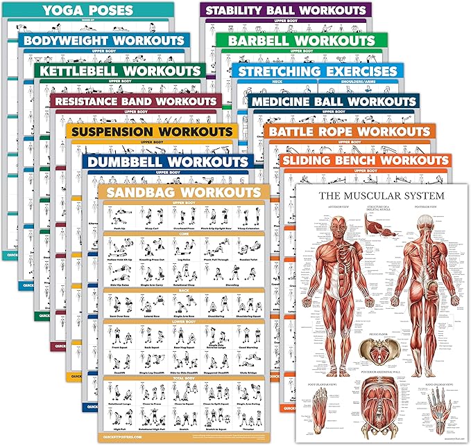Palace Learning 14 Pack - Exercise Poster Set: Dumbbell, Suspension, Kettlebell, Resistance Bands, Stretching, Muscular, Medicine Ball, Battle Rope, Bodyweight, Barbell, Yoga, Exercise Ball