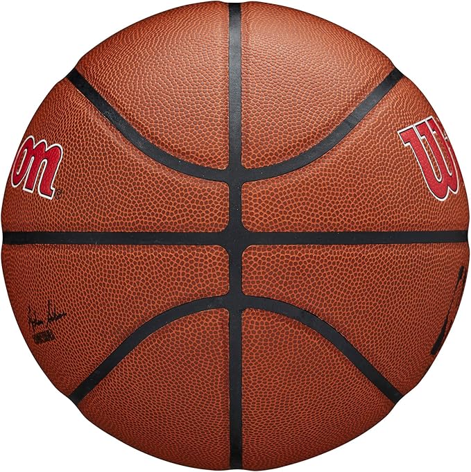 WILSON NBA Team Alliance Basketballs - Size 7-29.5"