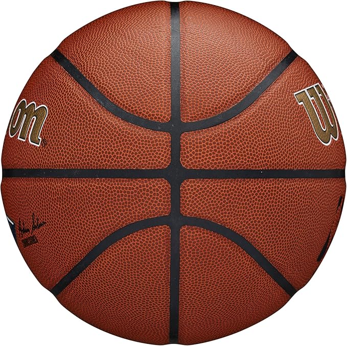 WILSON NBA Team Alliance Basketballs - Size 7-29.5"
