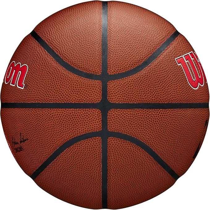 WILSON NBA Team Alliance Basketballs - Size 7-29.5"