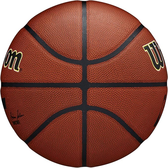 WILSON NBA Team Alliance Basketballs - Size 7-29.5"