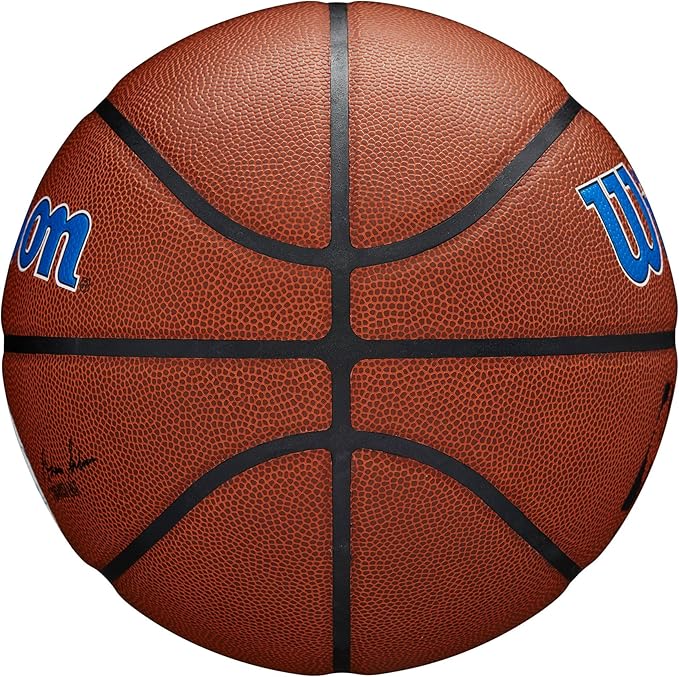 WILSON NBA Team Alliance Basketballs - Size 7-29.5"