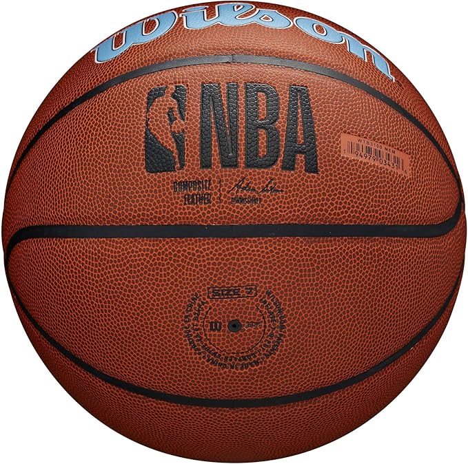 WILSON NBA Team Alliance Basketballs - Size 7-29.5"
