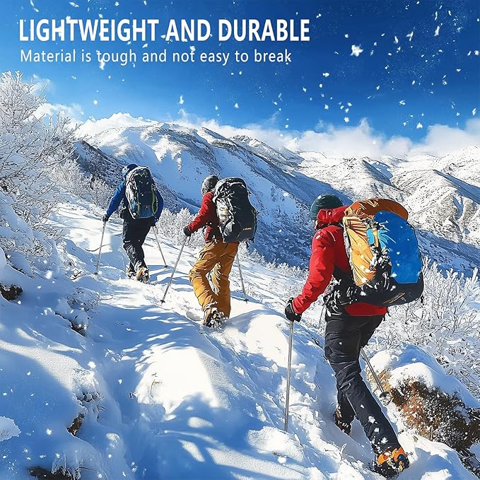 Hiking Pole Detachable Lightweight for Hiking Stick Walking Pole for Man Women