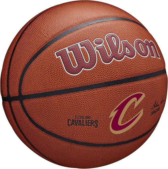 WILSON NBA Team Alliance Basketballs - Size 7-29.5"