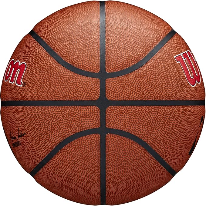 WILSON NBA Team Alliance Basketballs - Size 7-29.5"