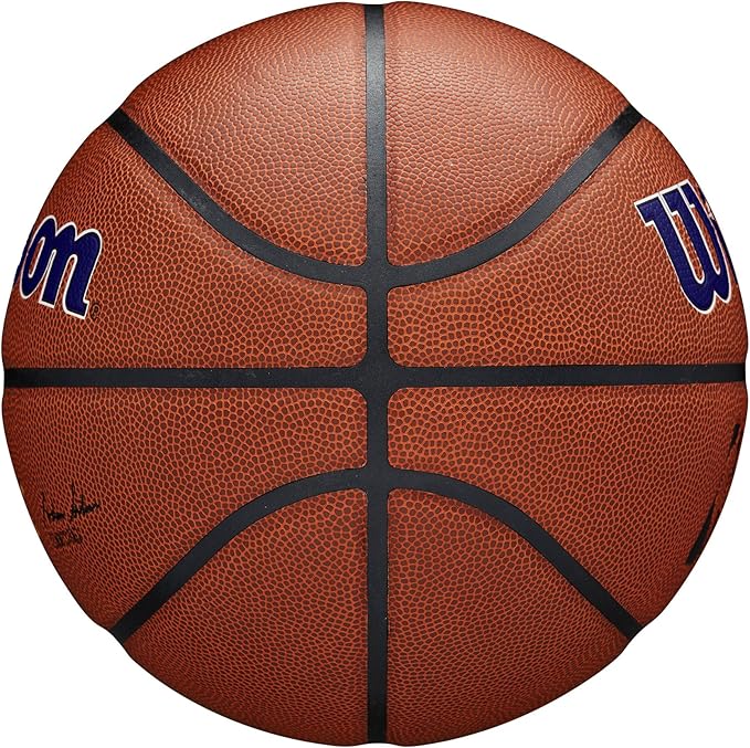 WILSON NBA Team Alliance Basketballs - Size 7-29.5"