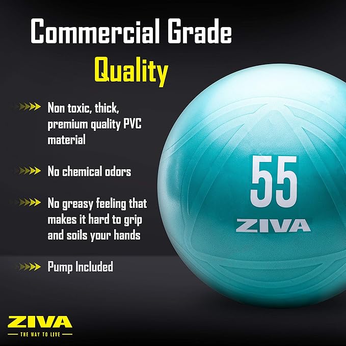 Ziva Anti Burst Core Fitness Exercise Ball - Professional Grade Slip Resistant Yoga Ball for Stability Balance - Includes Hand-Pump - Multiple Sizes Colors, 55-75cm