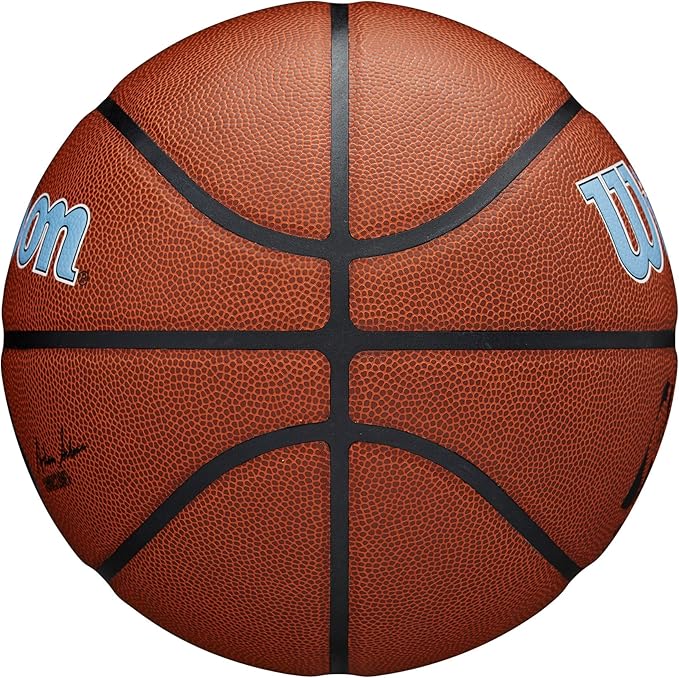 WILSON NBA Team Alliance Basketballs - Size 7-29.5"