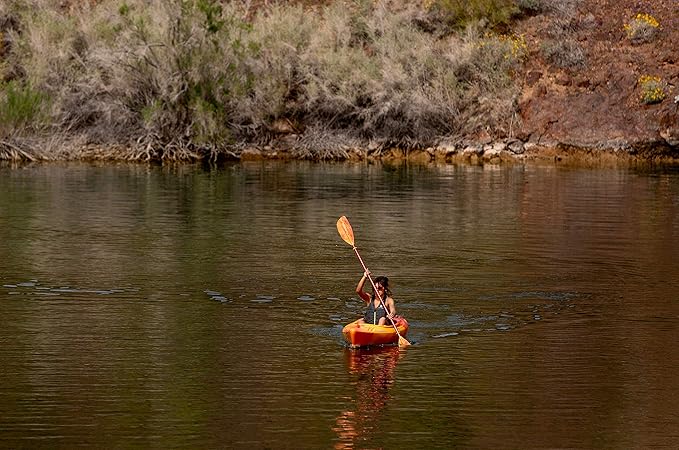 Perception Joyride 10 - Sit Inside Kayak for Adults and Kids - Recreational and Multi-Water Kayak with Selfie Slot - 10'