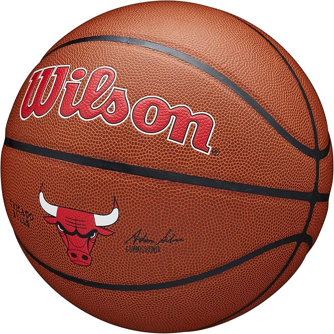 WILSON NBA Team Alliance Basketballs - Size 7-29.5"