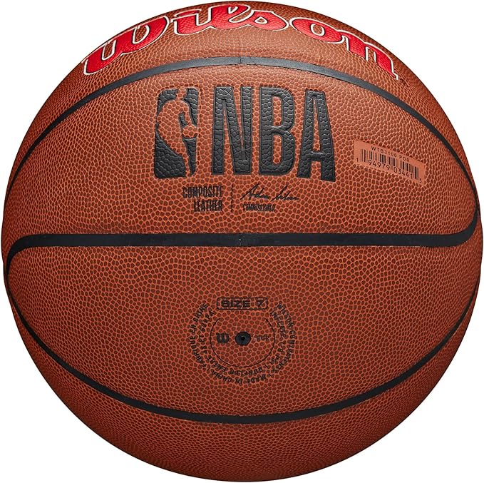 WILSON NBA Team Alliance Basketballs - Size 7-29.5"